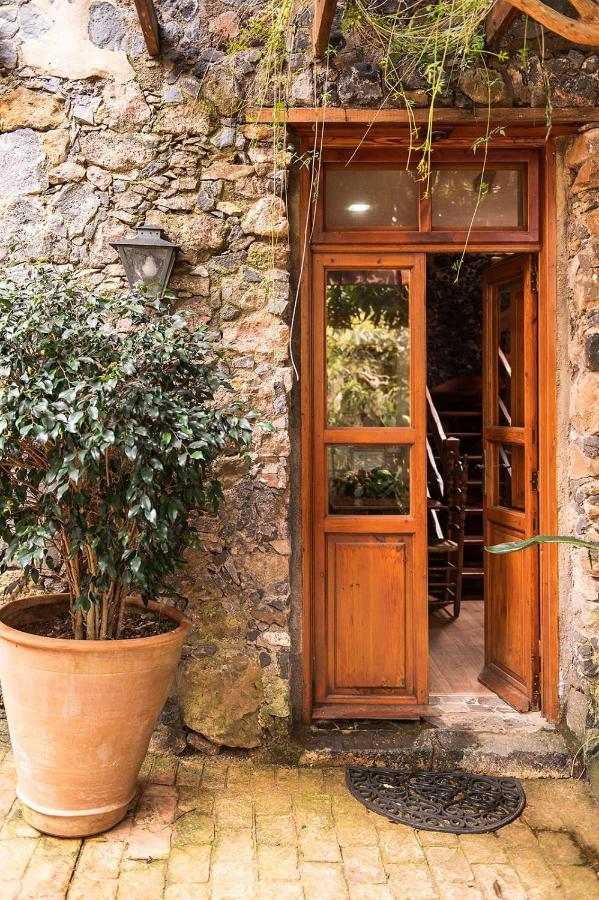 Homeforguest Cosy Rural Flat El Romero With Large Gardens Tacoronte Eksteriør billede