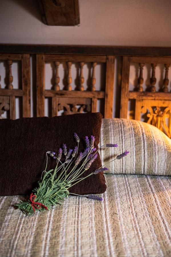 Homeforguest Cosy Rural Flat El Romero With Large Gardens Tacoronte Eksteriør billede